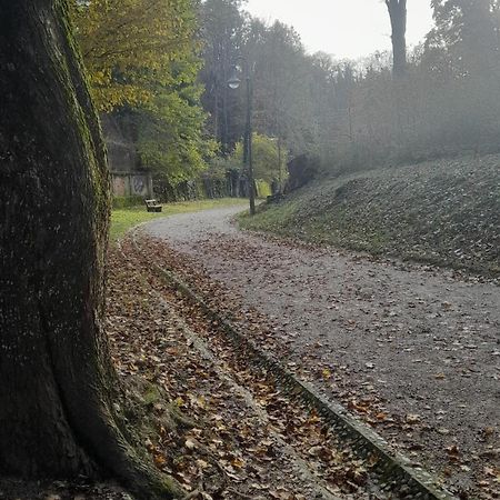 M4You Zagreb Luaran gambar